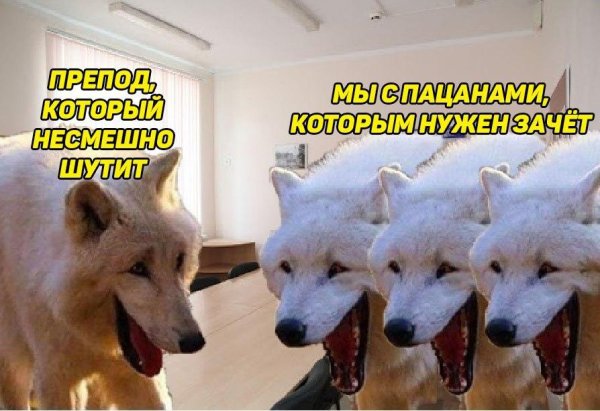 Три волка смеются