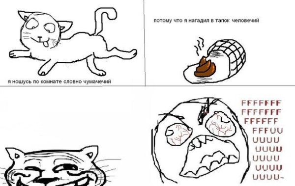 Комикс про кота