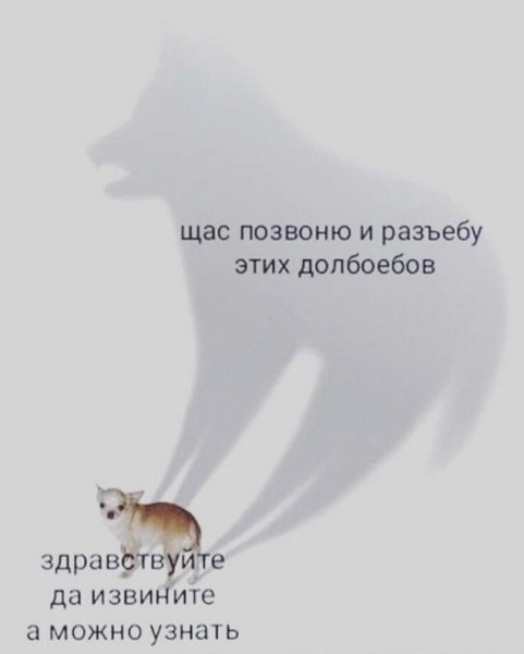 Собака с большой тенью Мем