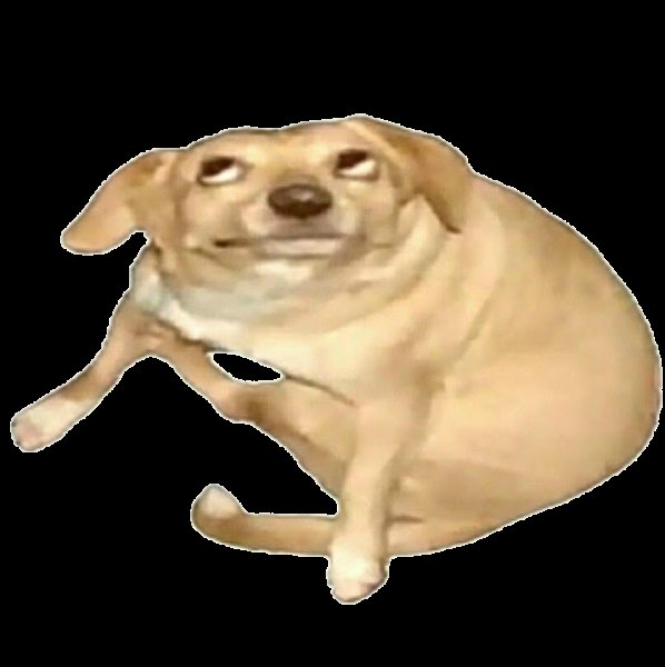 Собака без фона