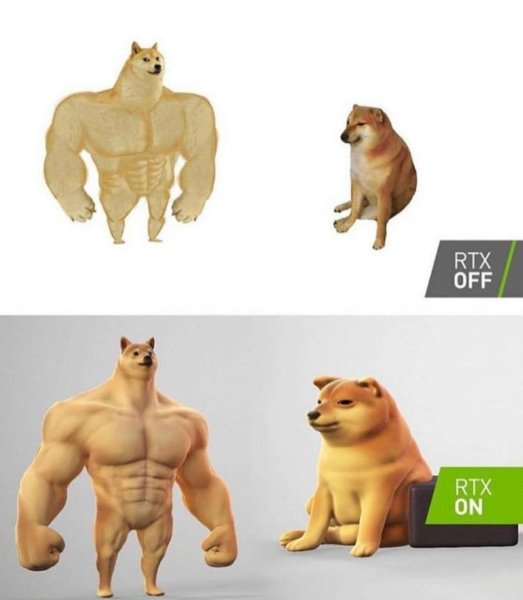 Мемы с накаченной собакой