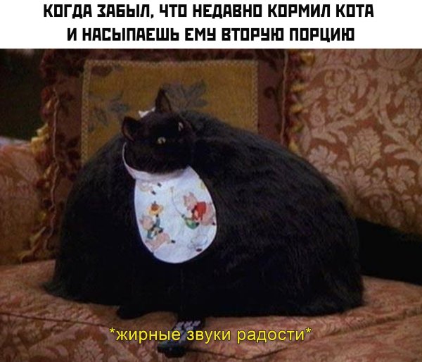 Кот Салем из Сабрины