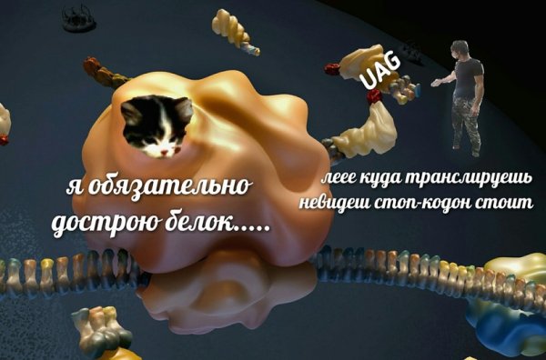 Мемы про Синтез белка