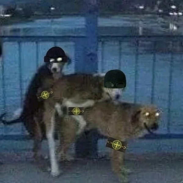 ОФФНИКИ обезьяны