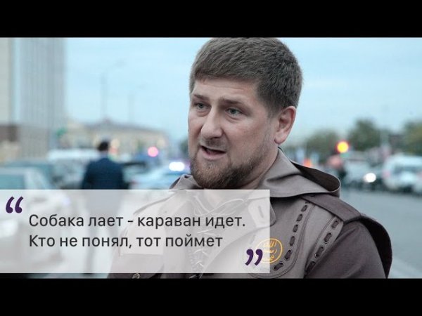 Караван и собака