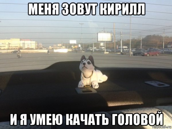 Кирилл собака Мем
