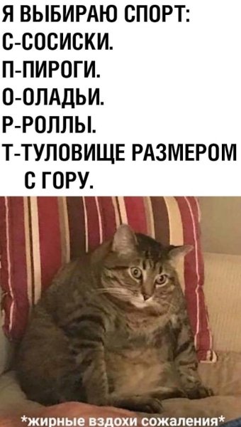 Толстый Плачущий кот