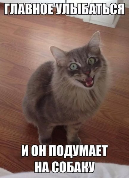 Смешные картинки