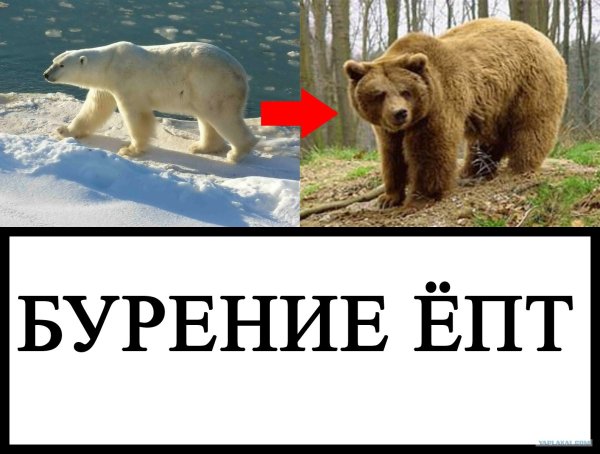 Бурение скважин Мем