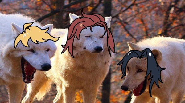 2 Волка ржут
