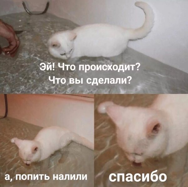 А попить налили спасибо