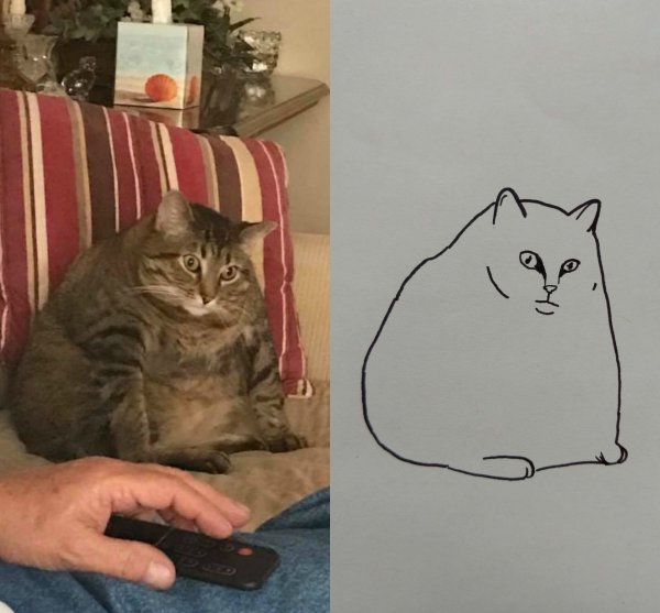 Нарисованный кот Мем