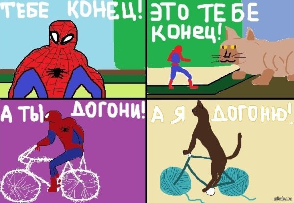 Котик Спайдермен