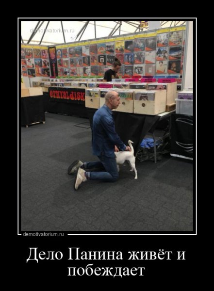 Панин и собаки демотиватор