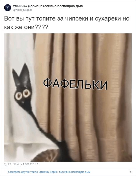Шоколадка Мем с котом