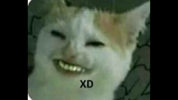 Кот улыбается Мем с зубами