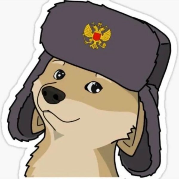 Пёс в шапке ушанке в хорошем качестве