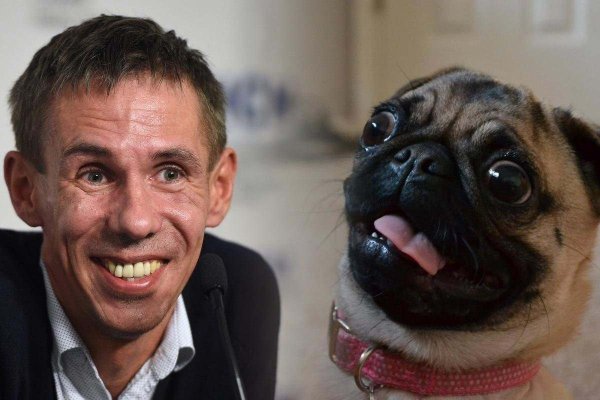 Панин собакоеб