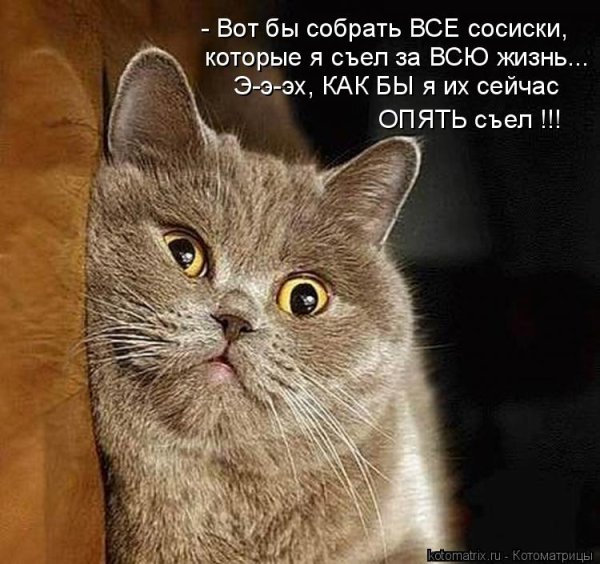 Я возмущен кот