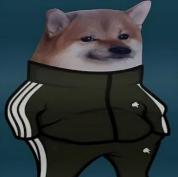 Doge в адидасе