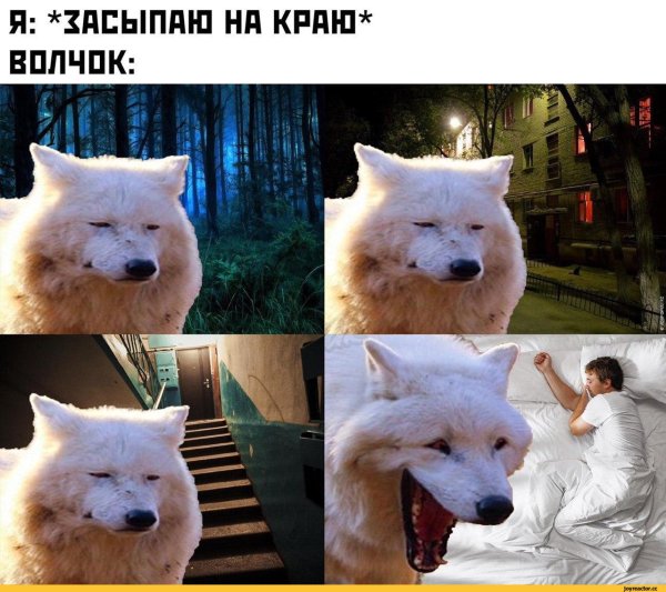 Волк Мем