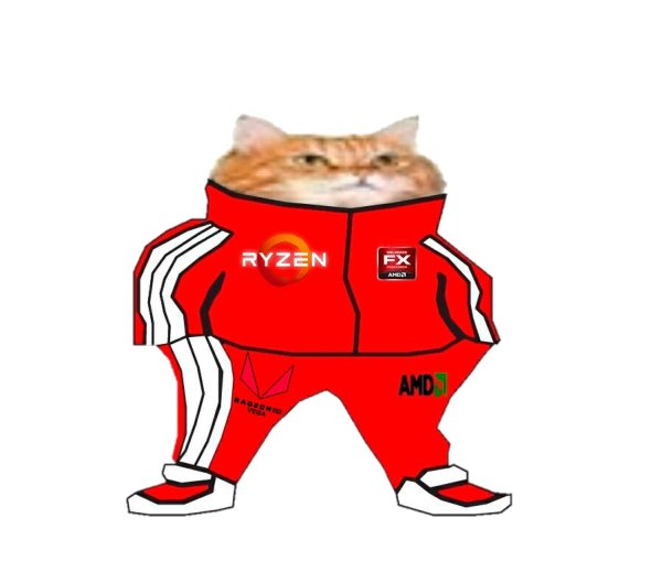 Коты в адидасе