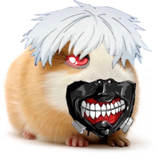 Кот дед инсайд