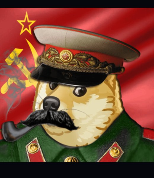 Кот в ушанке СССР