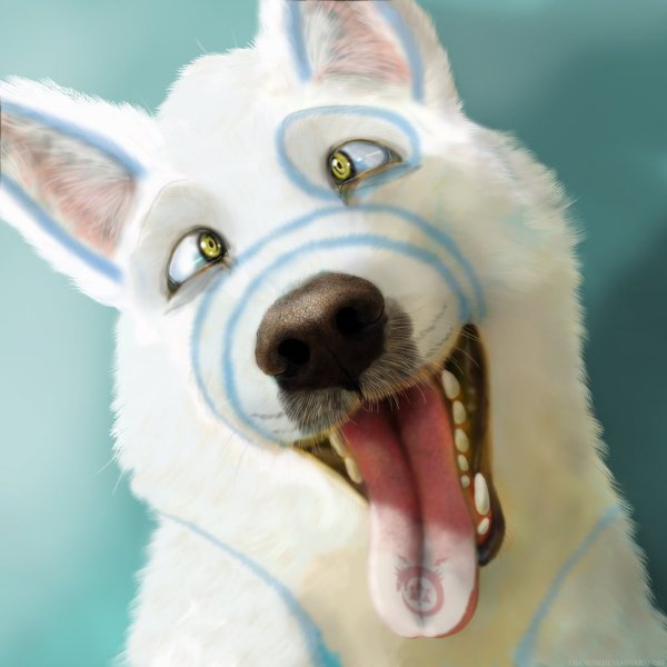 Собака с фысынутом языком