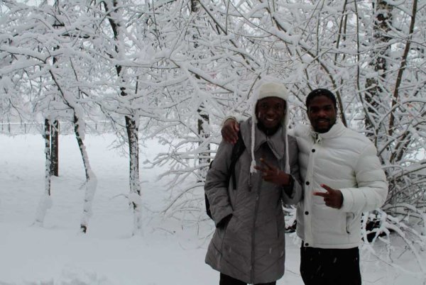 Снежок нигер