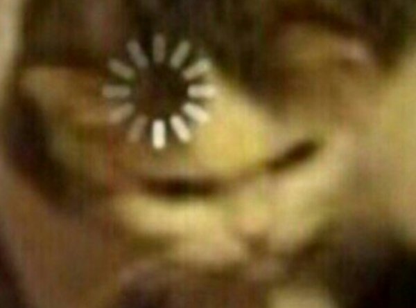 Кот загрузка