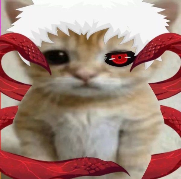 Картинка кота Гуля