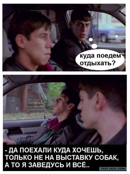 Панин приколы