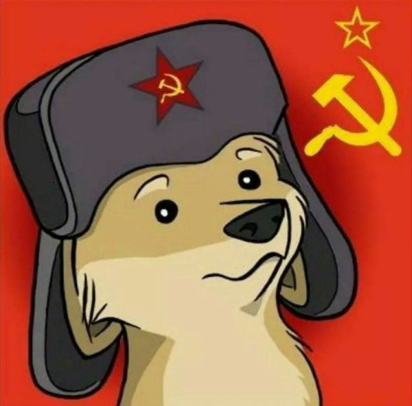 Собака в ушанке СССР