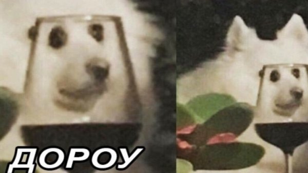 Дороу собака