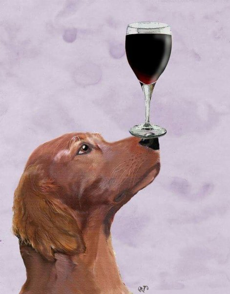 Собака с вином