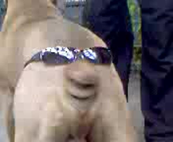 Собака Серега