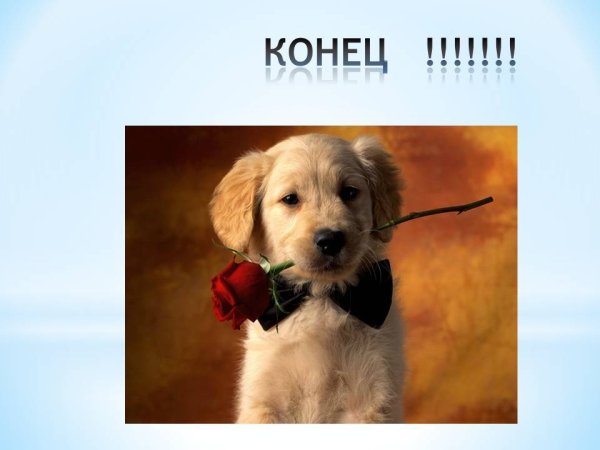 Концовка для презентации