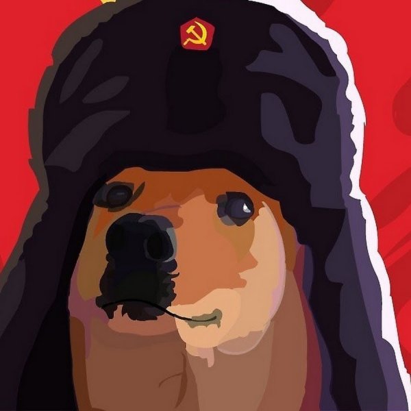 Ава собака в шапке ушанке