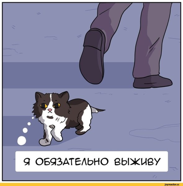 Я обязательно выживу котенок Мем