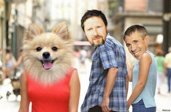 Собака Шария Мем