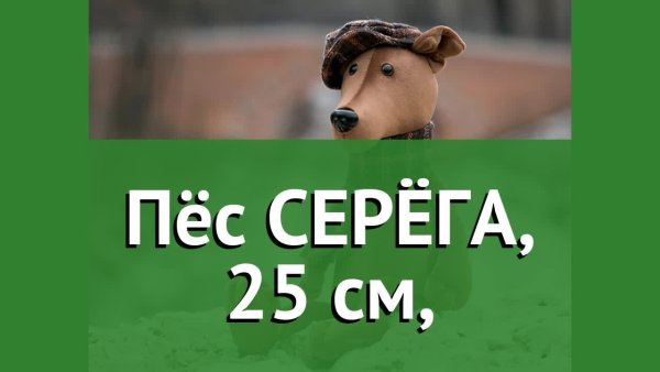 Собака Серега Мем