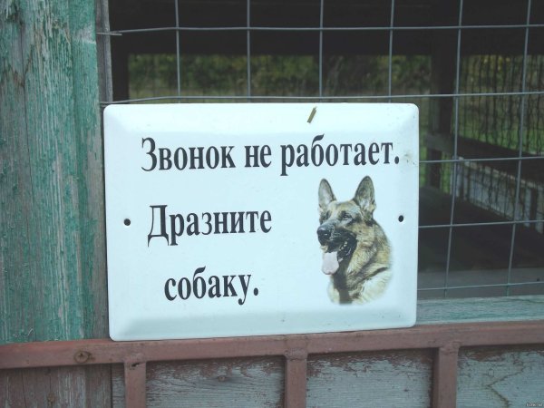 Звонок не работает