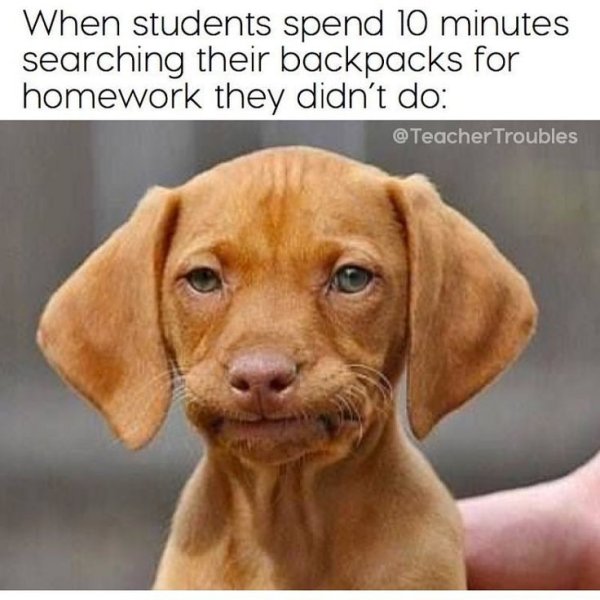 Удивленная собака