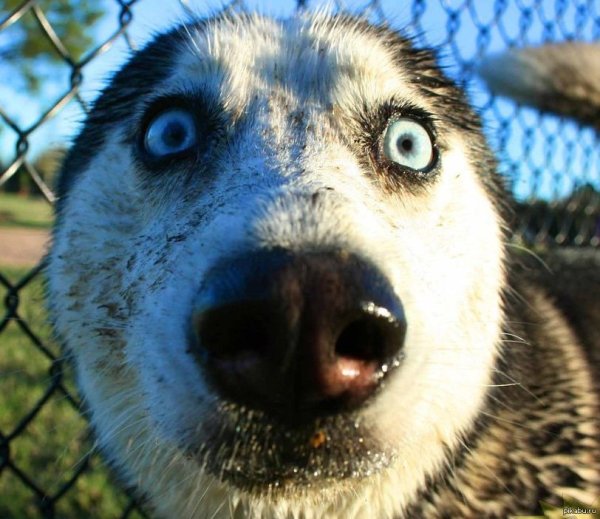 Удивленные глаза