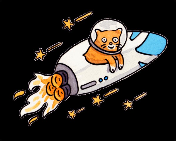 В кота летит ракета