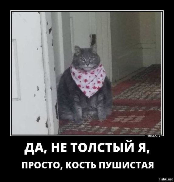 Толстый кот в платочке