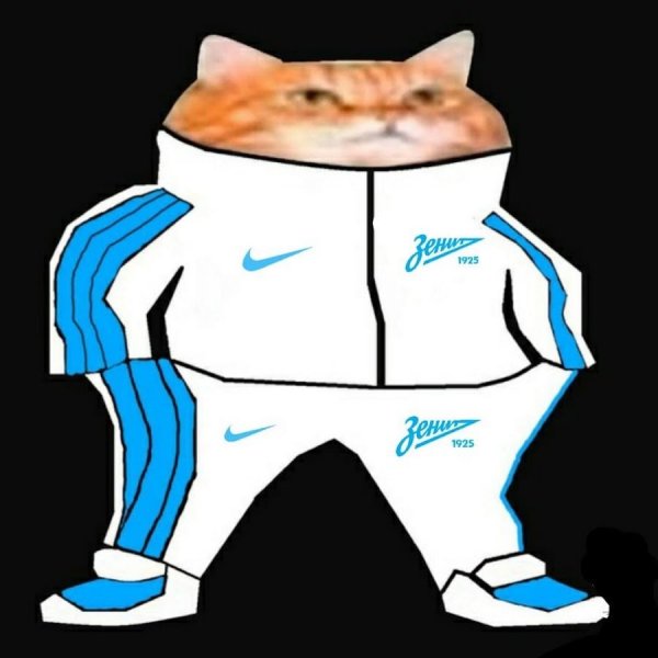 Кот в костюме адидас