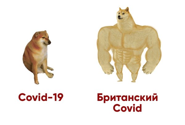 Собачка Мем