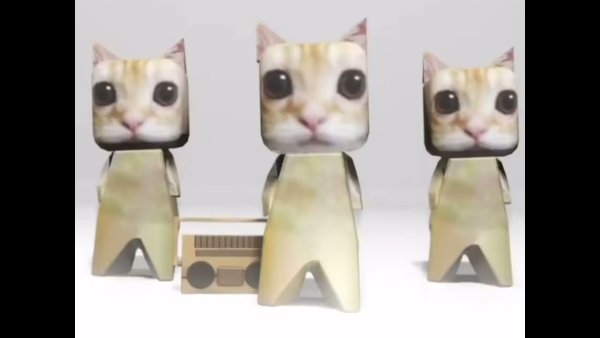 Котенок el gato